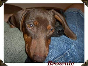 brownie.jpg