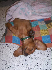 gus_038.jpg