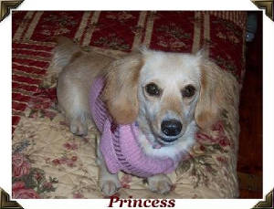 princess.jenn.jpg
